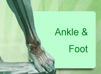 ankle_and_foot