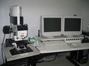 upright confocal