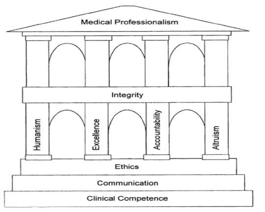 National Taiwan University College of Medicines framework for medical professionalism.